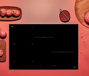  Варочная поверхность Falmec PIANO INDUZIONE 78x51